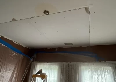 Reliable Painting Service (9)